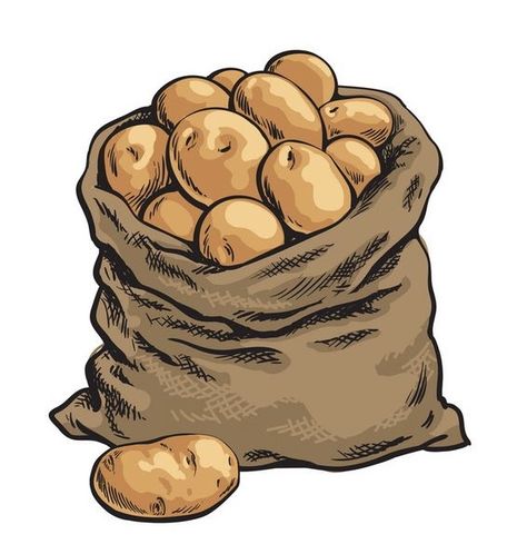 Potato Sketch, Sack Drawing, Sack Illustration, Potato Tattoo, Potato Drawing, Potato Sack, Potato Bag, Burlap Sacks, Food Illustration Art