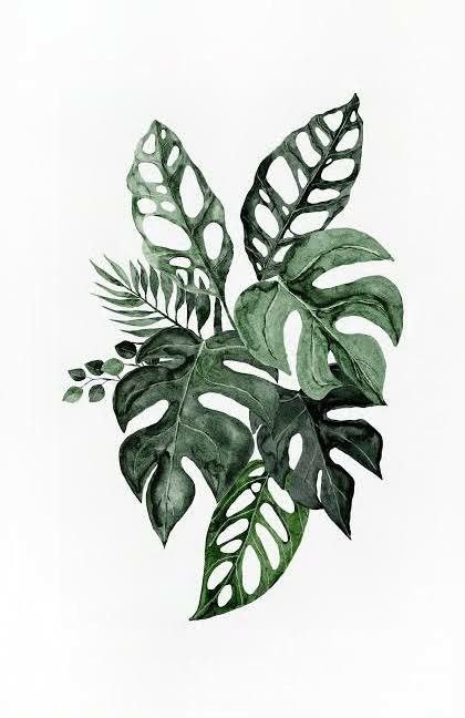 Tropisches Tattoo, Greenery Clipart, Leaves Clipart, Painting Reference, Plant Tattoo, 수채화 그림, Plant Drawing, Art Tattoos, Plant Art