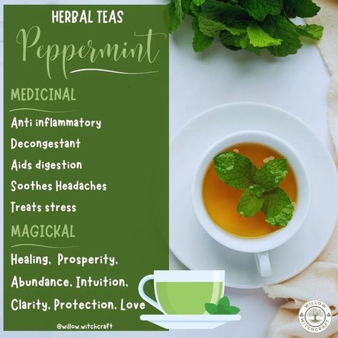 Willow Witchcraft (@willow.witchcraft) • Instagram photos and videos Peppermint Witchcraft, Healing Teas, Witch Tea, Magical Tea, Tea Magic, Healing Tea, Herbal Healing, Peppermint Tea, Herbal Teas