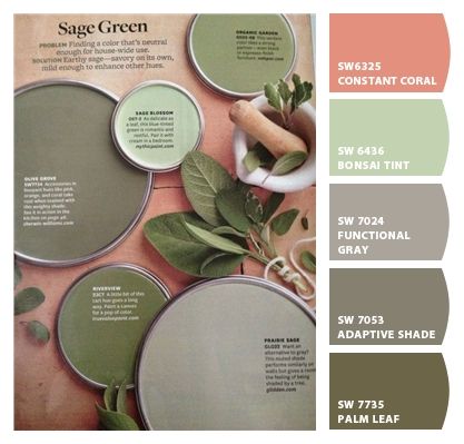 Paint colors from ColorSnap by Sherwin-Williams Sage Green Paint Color, Sage Green Paint, Green Palette, Green Paint Colors, Better Homes And Garden, Interior Paint Colors, Toy Rooms, Color My World, Interior Design Diy