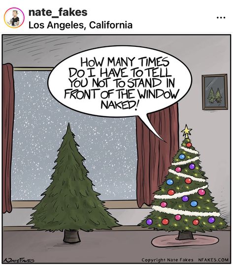 Funny Christmas Images, Funny Christmas Cartoons, Grumpy Cat Christmas, Xmas Gif, Christmas Comics, Christmas Memes, Christmas Jokes, Oh Christmas Tree, Funny Cartoons Jokes