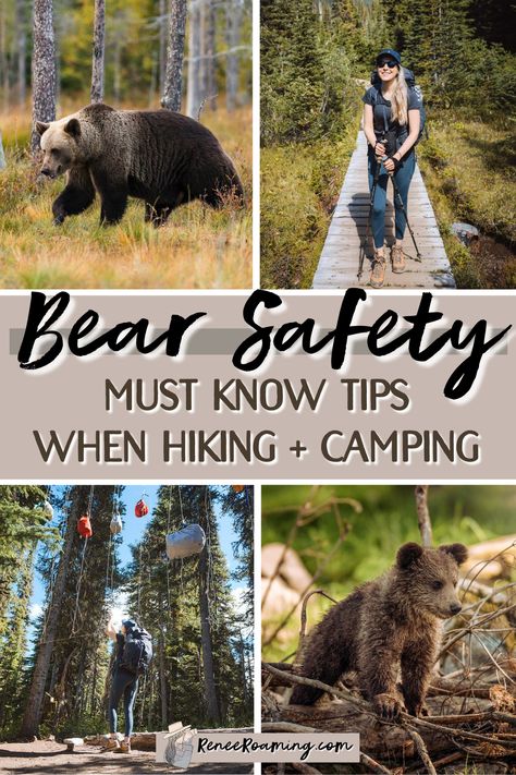 If you plan to adventure in bear country it's vital that you know proper bear safety guidelines. In this blog post you will learn how to hike in bear country as well as tips for safely camping in bear territory. Find out how to store your food in bear country and when to carry bear spray. The aim is for your next adventure in bear country to be safe and worry free! 🐻 #BearSafety #HikingBearSafety #BackpackingBearSafety #BearSafetyTips Bear Proof Camping, Bear Safety Camping, Renee Roaming, Beginner Backpacking, Bear Safety, Camping Safety, Camping Diy, Bear Attack, Backcountry Camping