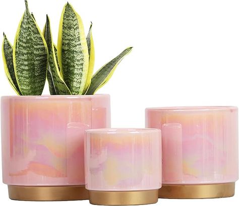 Amazon.com : Gepege Ceramic Indoor Pots for Plants, Rainbow Pearl Glaze Planter with Drainage Hole, 6.0 inch+5.0 Inch+4.0 Inch. Orchid Flower Pots : Patio, Lawn & Garden Pots For Plants, Rainbow Pearl, Orchid Pot, Indoor Outdoor Planter, Ceramic Flower Pots, Self Watering Planter, Ceramic Plant Pots, Pink Ceramic, Ceramic Pots