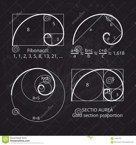 Scheme Of Golden Ratio Section, Fibonacci Spiral On Blackboard Vector Illustration Stock Vector - Illustration of figure, line: 118697767 Golden Ratio Architecture, Golden Ratio Tattoo, Golden Ratio Spiral, Fibonacci Number, Floral Mechanics, Fibonacci Golden Ratio, The Golden Mean, Spiral Line, Divine Proportion