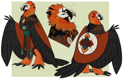 HWYB a vulture themed Arakoccra Barbarian? : WhatWouldYouBuild Bearded Vulture, Creature Drawings, Dungeons And Dragons Characters, Mythical Creatures Art, Creature Concept Art, Creature Concept, Dnd Characters, Creature Design, Creature Art