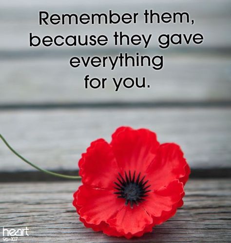 D Day Remembrance, Patriots Painting, Remembrance Day Images, Remembrance Day Pictures, D Day Photos, Remembrance Day Quotes, Poppy Poster, Anzac Poppy, Plane Silhouette