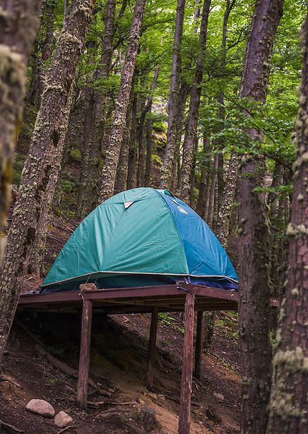 Fall Camping Outfits, Adult Tree House, Aesthetic Camping, Summer Camping Outfits, Tent Platform, Tent Camping Hacks, Camping Pod, Cold Weather Camping, Camping Set Up