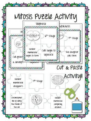 Mitosis Activity, Stages Of Mitosis, Mitosis And Meiosis, Math Early Finishers, Puzzle Worksheet, Puzzle Activity, Biology Classroom, 7th Grade Science, Math Interactive