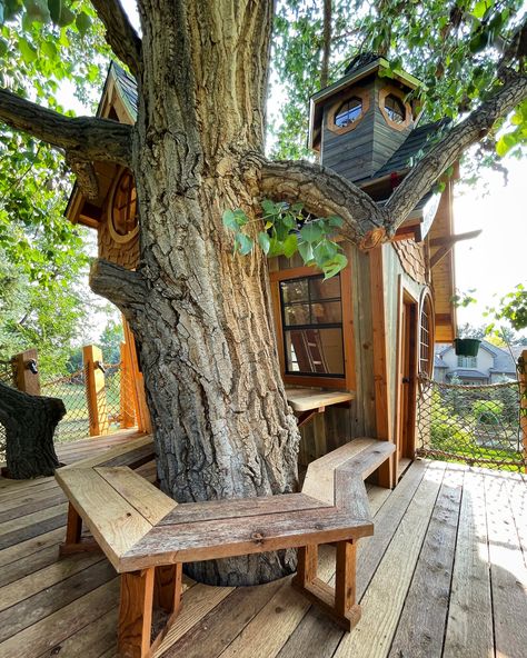 ABOUT — Treecraft Design-Build Custom Treehouses Treehouse Around Tree, House With Tree Inside, Tree House Ideas For Kids, Kids Treehouse Ideas, Treehouse For Kids, House Built Into Hill, Adult Treehouse, Kid Backyard, Tree House Deck