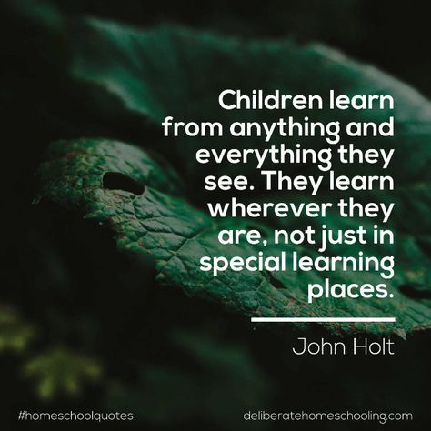 Homeschool quote: "Children learn from anything and everything they see. They learn wherever they are, not just in special learning places." John Holt Unschooling Quotes, Superhero Teacher Appreciation, Teacher Appreciation Quotes, Homeschool Quotes, Funny Encouragement, School Learning, Homeschool Inspiration, Homeschool Encouragement, Appreciation Quotes