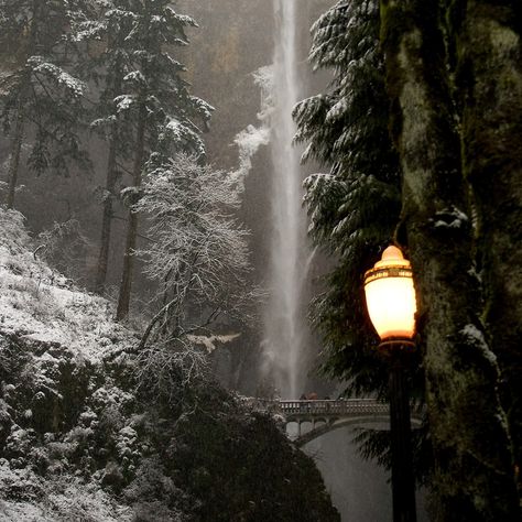 Narnia Aesthetic, Courage Dear Heart, Multnomah Falls, Dark Christmas, The Chronicles Of Narnia, Winter Magic, Chronicles Of Narnia, Snowy Day, The Grove