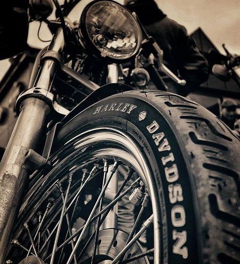 Motorcycle Ideas, Мотоциклы Harley Davidson, Harley Davidson Wallpaper, Motos Harley, Harley Davidson Art, Мотоциклы Cafe Racers, Motorcycle Aesthetic, Motorcycle Photography, Biker Aesthetic