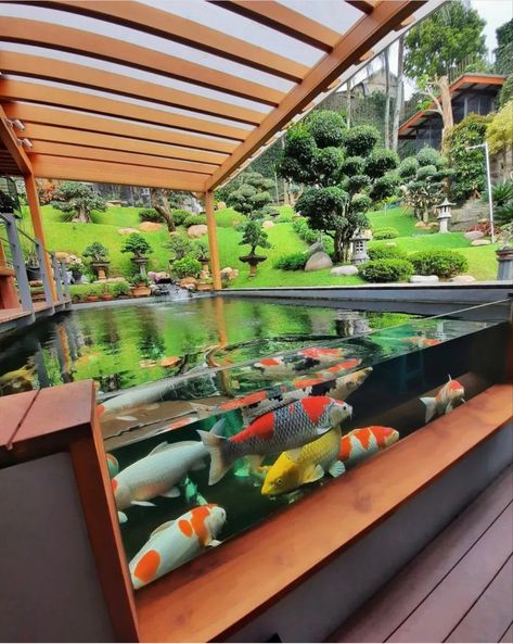 Modern Koi Pond Design Ideas, Above Ground Fish Pond, Aesthetic Fish Tank Ideas, Koi Pond Design, Patio Pond, Outdoor Ponds, Fish Tank Design, House Interior Design Styles, Garden Pond Design