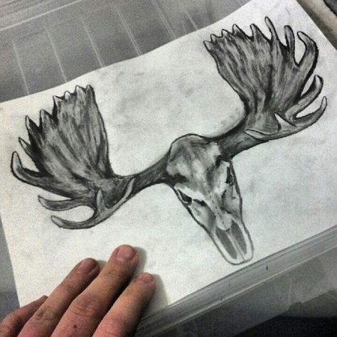 Moose Moose Skull Tattoo, Moose Antler Tattoo, Moose Tattoos, Skull Drawing Tattoo, Drawing Tattoo Ideas, Trout Tattoo, Moose Skull, Hockey Tattoo, Moose Tattoo