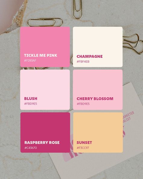 Colour palettes I’ve recently used 🎨 Which one is your favourite? • • • #colour #colourpalette #colourpaletteinspiration #branding #brandcolours #brandcolourpalette #color #colorpalette #colorful #brandcolors Calendar Colour Palette, Pink Color Palette Combination, Ballet Color Palette, Pink And Red Colour Palette, Blue Pink Green Color Palette, Pink Pallet Color, 2025 Organization, Calendar Color Palette, White And Pink Color Palette