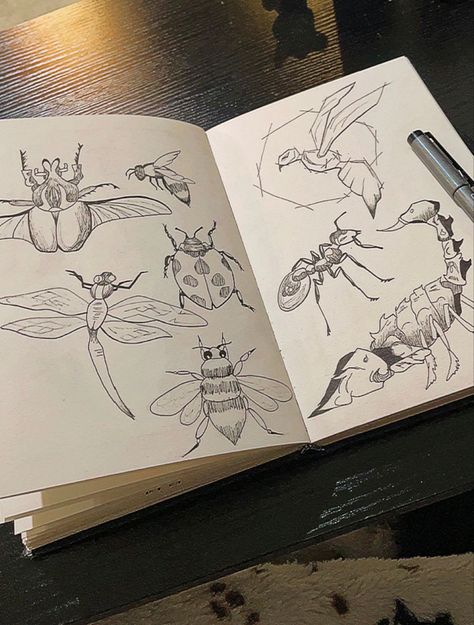 Insect Sketches, Bug Sketches, Bugs Drawing, Cute Easy Doodles, Bug Art, Creative Drawing Prompts, Sketchbook Drawings, Sketchbook Art Journal, Cute Doodles Drawings