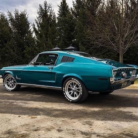 68 mustang fastback Mustang 67, Blue Mustang, Mustang Car, 1967 Mustang, Cars Wallpaper, Auto Retro, Ford Mustang Fastback, Car Wheels Rims, Classic Mustang