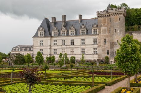 15 Best Things to Do in Tours (France) - Page 14 of 15 - The Crazy Tourist Chesapeake Beach, France City, Old Castle, Tours France, Paris France Travel, Romantic Weekend Getaways, France Trip, Romantic Picnics, Amsterdam Travel