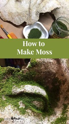 Moss Growing, Growing Moss, Moss Plant, Moss Garden, Concrete Crafts, Healthy Garden, Water Beads, Concrete Diy, Fairy Houses