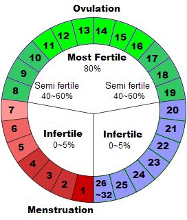 Fertile Days Chart, Safe Days In Menstrual Cycle, Period Chart, Menstrual Cycle Chart, Ovulation Symptoms, Fertility Calendar, Period Calendar, Pregnancy Kit, Ovulation Calculator