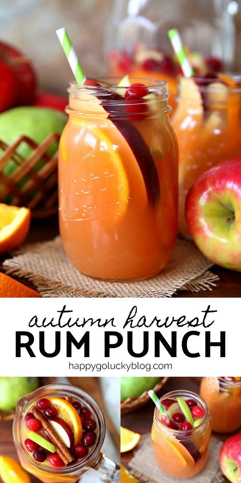 Fall Rum Punch, Thanksgiving Margarita, Fall Drinks Alcohol, Fall Punch Recipes, Brunch Punch, Thanksgiving Punch, Holiday Punch Recipe, Alcoholic Punch Recipes, Rum Punch Recipes