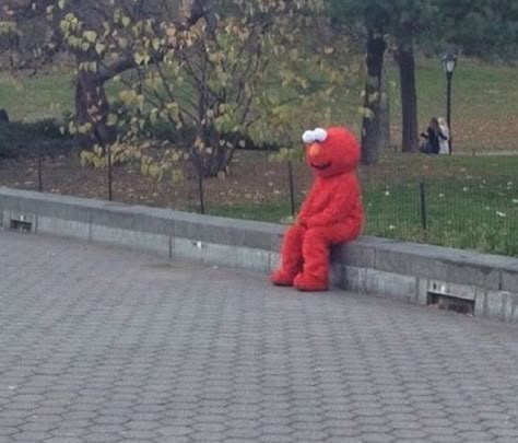 Cursed Elmo, Elmo Memes, Elmo Wallpaper, Elmo And Friends, Elmo World, 밈 유머, Reaction Photos, Funny Profile, 웃긴 사진