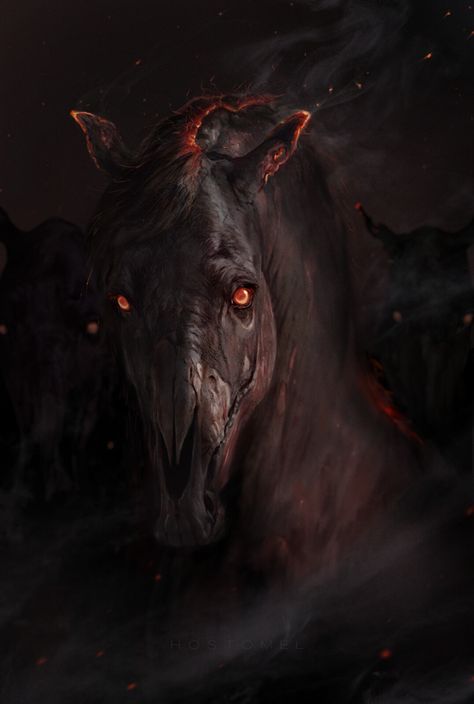 ArtStation - Hostomel Undead Horse Art, Undead Horse, Vampire Cowboy, Demon Horse, Hell Hounds, Creation Of The World, Fantasy Horses, Mythical Animal, Fantasy Beasts