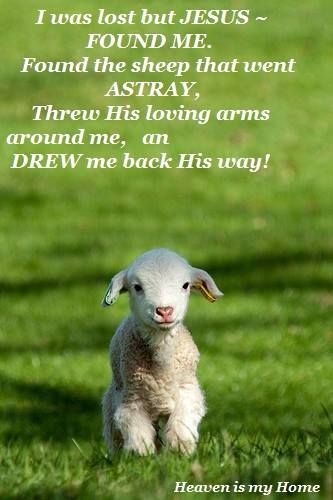 LUKE 15:3 - " Suppose one of you has a hundred sheep and loses one of them. Doesn't He leave the ninety- nine in the open country and go after the lost sheep until he finds it? And when He finds it, He joyfully puts it on his shoulders and goes home. Then He calls His friends and neighbors together and says, "Rejoice with me, I have found my lost sheep. I tell you that in the same way, there will be more rejoicing in heaven over one sinner who REPENTS than over any who don't need to repent." Regnul Animal, Nosara, Baby Sheep, Baby Lamb, Gods Word, A Sheep, Baby Goats, Angel Art, Sweet Animals