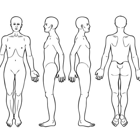 Body diagram for professional massage chart: front, back, left and right views | Icon or button contest | 99designs Human Body Outline, Human Body Exhibit, Human Clipart, Human Body Diagram, Play Therapy Activities, Human Body Worksheets, Body Chart, Massage Dos, Human Body Organs