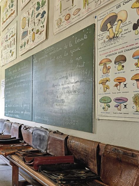 Vintage Classroom Aesthetic, Study Academia, Vintage Classroom, Classroom Aesthetic, Chalkboard