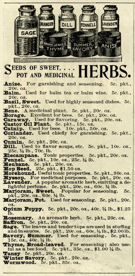 Herb Clipart, Vintage Herbs, Stary Papier, Herbs Illustration, Black And White Graphics, Old Advertising, Medical Herbs, Etiquette Vintage, Foto Transfer