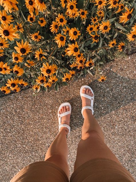 Platform Teva, Teva Platform, Abercrombie And Fitch Shorts, Spring Sandals, Birkenstock Madrid, Pretty Pictures, Summer Shoes, Platform Sandals, Birkenstock