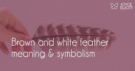 The brown and white feather meaning is the powerful combination of purity and cleanliness originating from the white color, and stability which... Light Brown Feather Meaning, White And Brown Feather Meaning, Brown Feather Meaning, Feather Spiritual Meaning, Brown And White Feather Spiritual Meaning, White Feather Meaning, Spotted Feather Meaning, Grey Feather Spiritual Meaning, Black Feather Spiritual Meaning