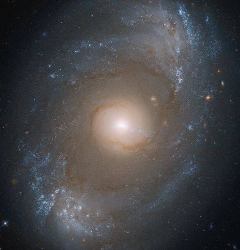 Black Holes In Space, Supermassive Black Hole, Other Galaxies, James Webb Space Telescope, Spiral Galaxy, Hubble Space, Hubble Space Telescope, Space Telescope, Dark Matter