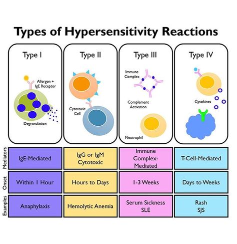 Types of hypersensitivity reactions Type I - lgE-Mediated, ... Mlt Notes, Immunity Nursing, Pathology Notes, Biology Notebook, Medical Microbiology, Tissue Biology, Biochemistry Notes, Cell Metabolism, Hypersensitivity Reactions