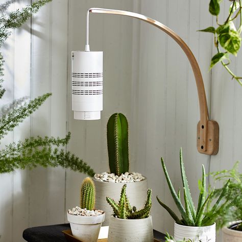 From aesthetic pieces like planters, pots, plant stands, and boxes, to functional items like misters and watering cans, these are the best places to buy indoor plant accessories. Indoor Plant Wall With Grow Lights, Grow Lamps Indoor, Grow Lights For Houseplants Set Up, Indoor Plant Lighting Ideas, Grow Light Set Up, Plant Lights Indoor Setup, Pendant Grow Light, Grow Light Ideas, Grow Lights For Houseplants