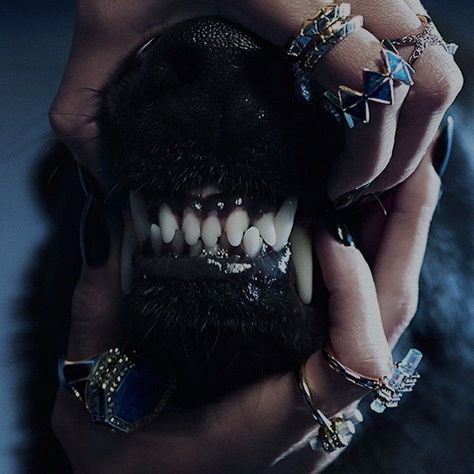 Hell Hound Aesthetic, Dark Boujee Aesthetic, Hellhound Aesthetic, Shay Core, Dobermann Aesthetic, Starflesh Core, Hell Hounds, Hex Color, Dog Aesthetic