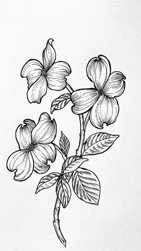 Dogwood flowers illusion #art #artist #artwork #sketch #drawing Dogwood Flowers, Floral Drawing, Illusion Art, Sketch Drawing, Artist Artwork, Flower Drawing, Art Artist, Sketch, Drawings