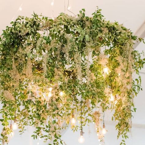 Greenery Chandelier Wedding, Spanish Moss Wedding Decor, Spanish Moss Chandelier, Foliage Chandelier Wedding, Spanish Moss Wedding Bouquet, Round Greenery Chandelier, Moss Centerpiece Wedding, Spanish Moss Wedding, Moss Wedding Decor