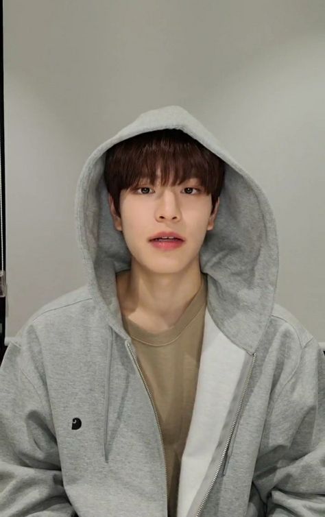 Seungmin Hoodie, Wallpaper Skz, Kim Seungmin, Stray Kids Seungmin, Grey Hoodie, Kids Wear, Brown Hair, Stray Kids, Texture