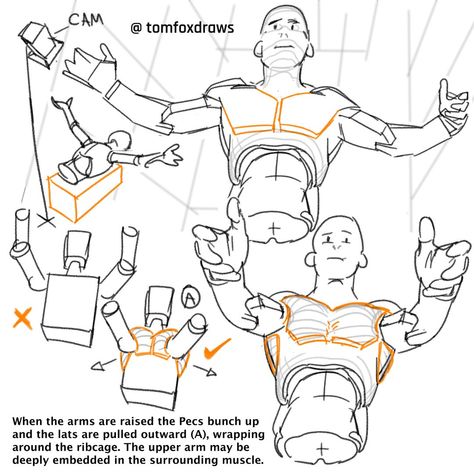 Poses For Art Reference, Back Drawing Reference, Arm References, Drawing Arms, Hands Tutorial, Anatomy Tutorial, Drawing Lesson, Human Anatomy Drawing, Body Drawing Tutorial