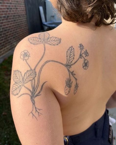 Strawberry Fairy Tattoo, Fruit Vine Tattoo, Wild Strawberry Tattoo, Strawberries Tattoo, Strawberry Vine Tattoo, Strawberry Vines, Brighton Tattoo, Strawberry Tattoo, Fruit Tattoo