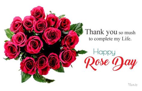 Happy Rose Day 7Th February Valentine Week Hd Images Wallpapers  #3 Happy-Rose-Day Wallpaper 7 February Rose Day, Happy Rose Day Wallpaper, Rose Day Wallpaper, Happy Rose Day, Valentine Week, 7 February, Rose Day, Front Gate Design, February Valentines