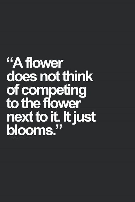 It just blooms.. #competition Food for thought... There is no point worrying about the competition! Yeah so fu(k you bitches Frases Tumblr, Yoga Exercises, E Card, Wonderful Words, Quotable Quotes, A Quote, The Words, A Flower, Great Quotes