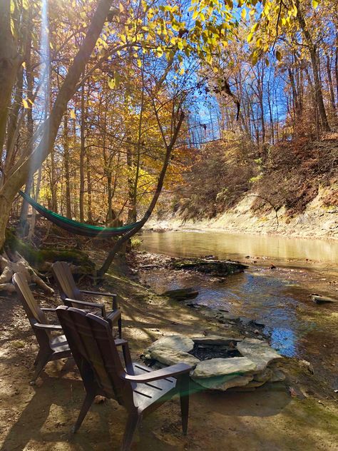 Maple Creek, Dream Life, Beautiful Nature, Picture Video, Magnolia, Coin, Outdoor Decor, Water, Books