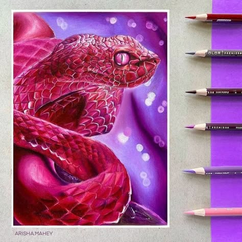 Color Pencil Drawing Moment Drawing, Pencil Colour Painting, Colored Pencil Artwork Ideas, Prismacolor Drawing, Pencil Inspiration, Pencil Drawings Of Flowers, Snake Drawing, Color Pencil Sketch, Prismacolor Art