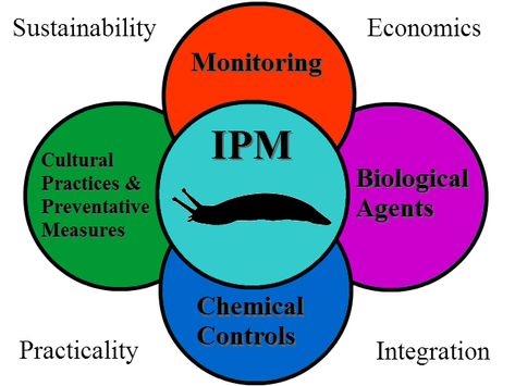 ipm pest integrated management strategy recommend beginners schedule control Slug Control, Integrated Pest Management, Farming System, Edible Gardening, Oregon State University, Pest Management, Slug, Vegetable Gardening, The Pacific Northwest