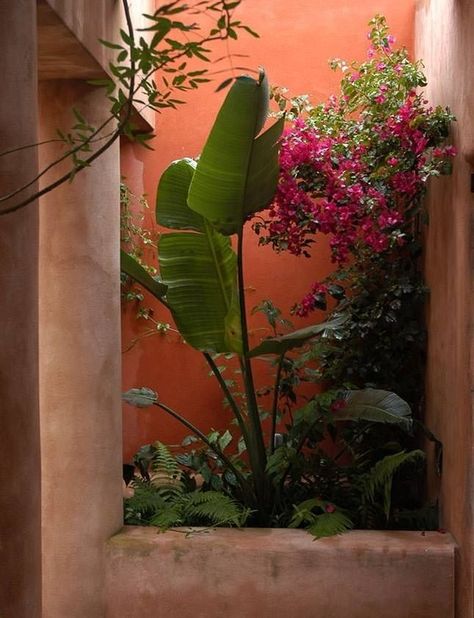 Pintura Exterior, Outdoor Living Design, Spanish Style Home, Landscape Concept, Front Patio, Wall Garden, Tropical Theme, Balcony Garden, Outdoor Plants