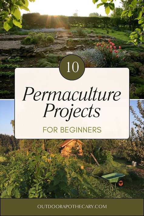 permaculture projects Permaculture Raised Garden Beds, Permaculture Garden Design Ideas, Small Yard Permaculture, Permaculture Cottage Garden, Regenerative Farming Backyard, Permaculture Garden Design Layout, Permaculture Guilds, Permaculture Backyard, Permaculture Garden Design