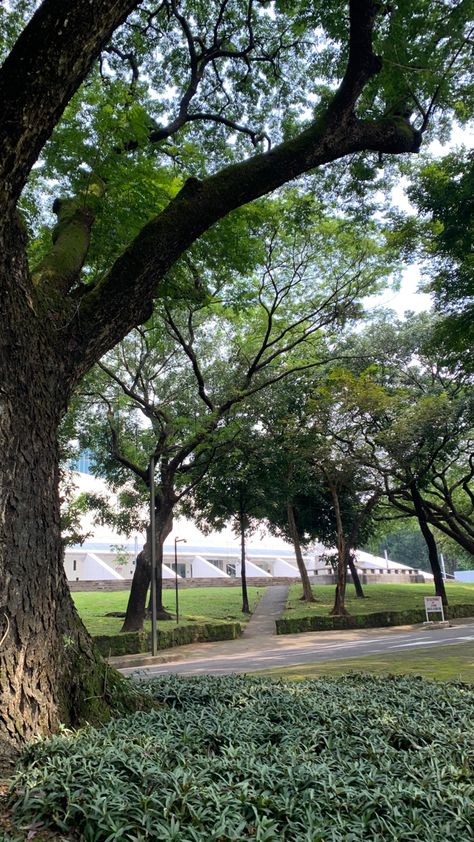 Ateneo De Manila University, Manila, Philippines, University, Plants